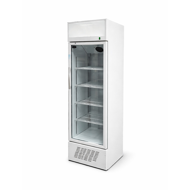 Oppici Visi Cooler 1 Puerta 291L. - Ventilado - Línea Rímini 1 Visi Cooler 1 Puerta 291L. - Ventilado - Línea Rímini